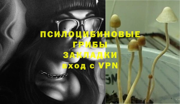 МДПВ Алексин