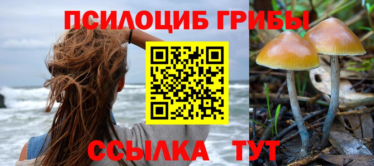 Галлюциногенные грибы мицелий  Вход с VPN  Арсеньев 
